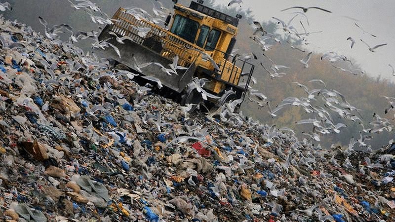 Процент переработки мусора в россии