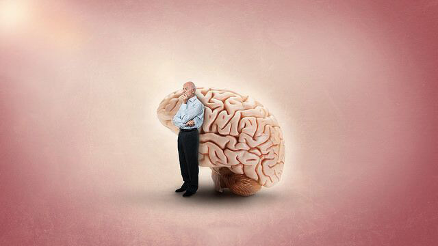 2 серьезные функции мозга, которые с возрастом работают лучше