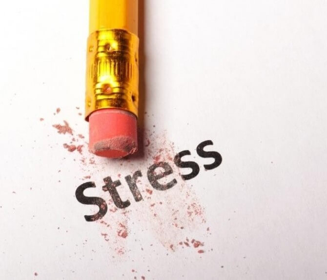 Ганс Селье: Концепция стресса