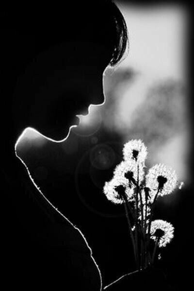 Любовь в черно белом цвете