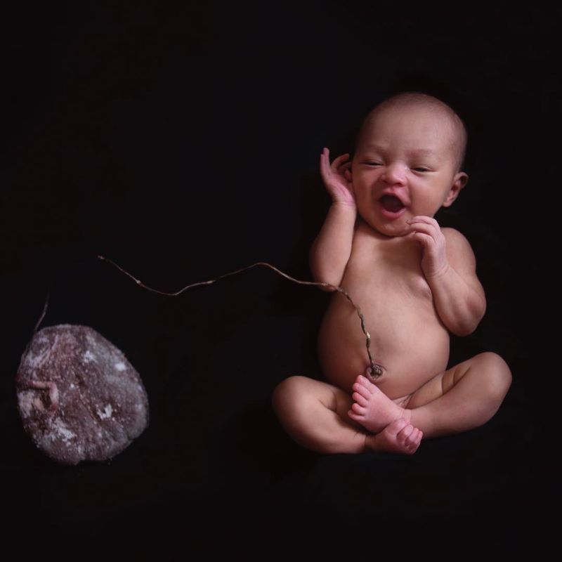 Лотосовые роды: бережное рождение ребенка в гармонии с ритмами природы