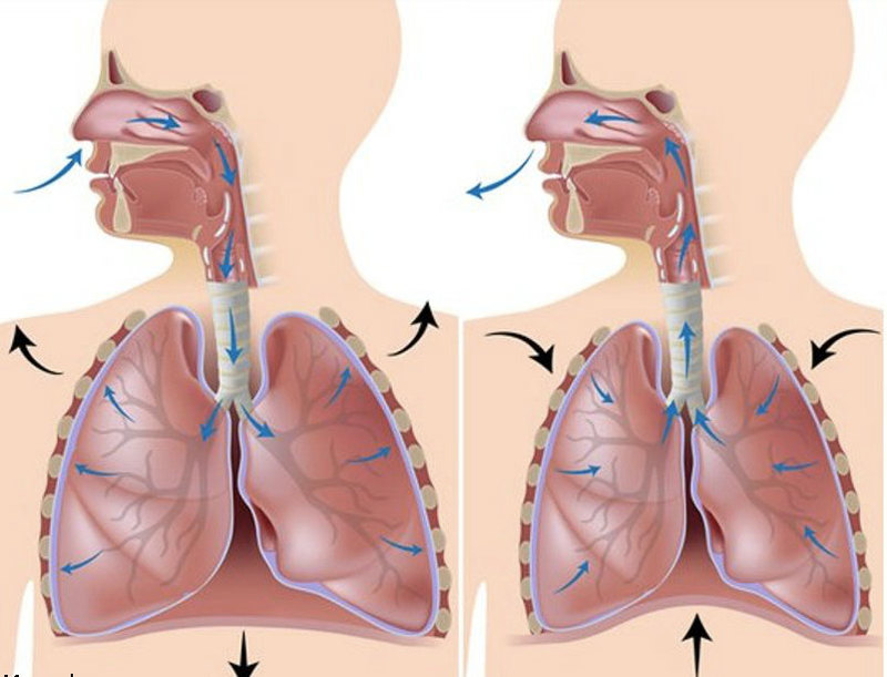 Дыхательные упражнения по бутейко при кашле thumbnail