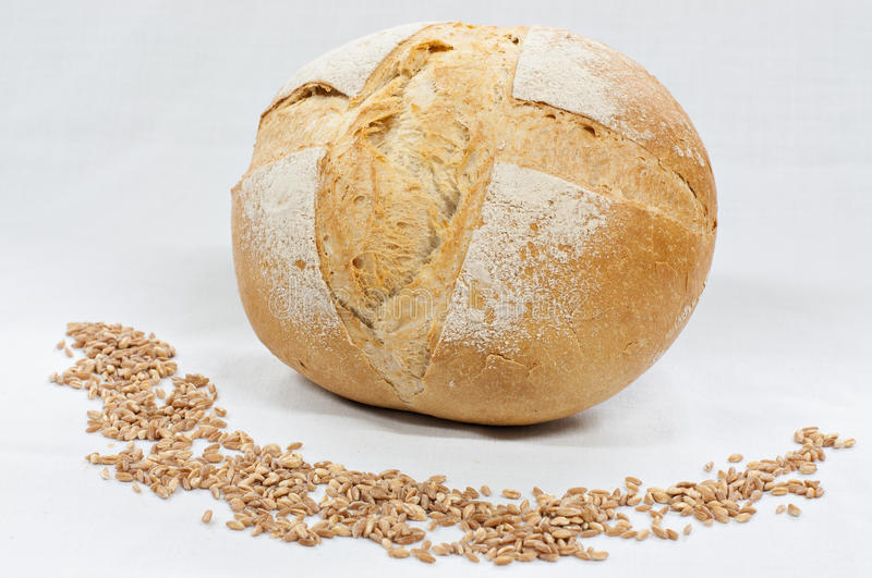 СПЕЛЬТА (ПОЛБА): более здоровая альтернатива мягкой пшенице