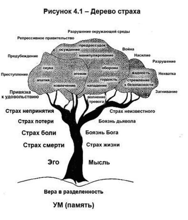 Сэл Рейчел: КРУГ СТРАХА