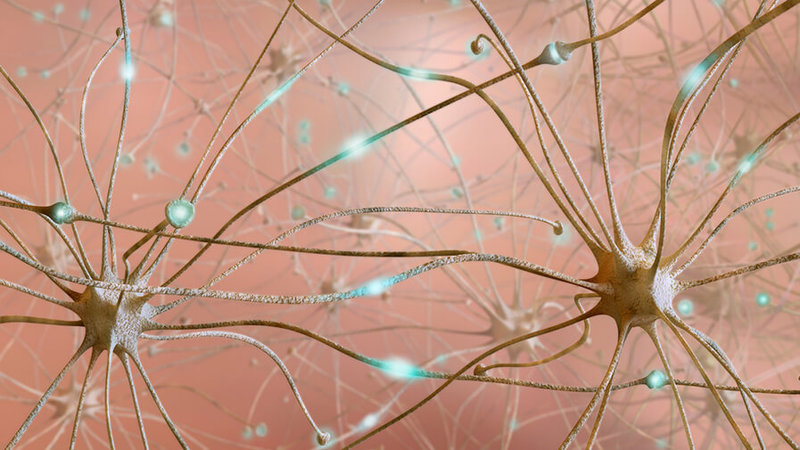 Как работает мозг: Переобученные нейросети