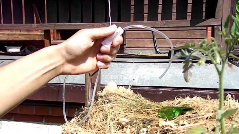 Капельница – полив на огороде с помощью капельной системы полива