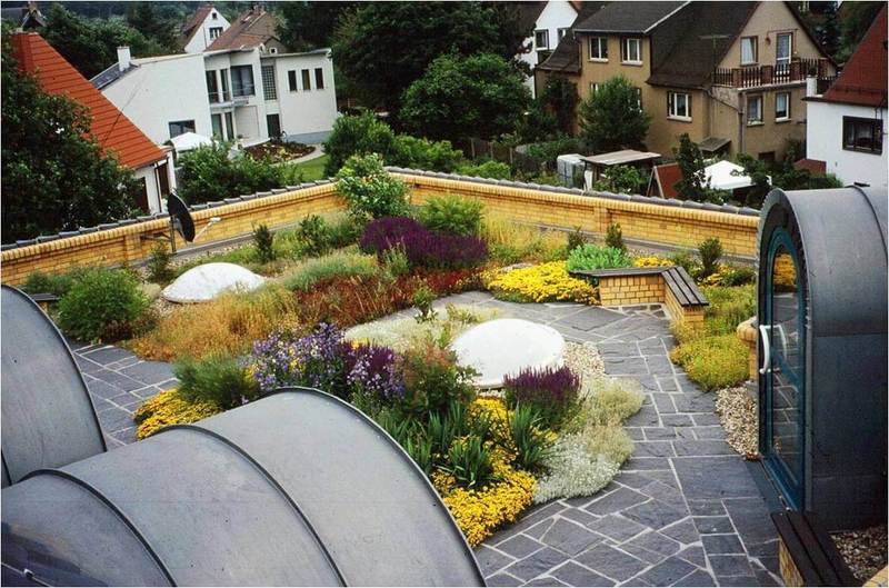 Сад на крыше: разновидности и обустройство своими руками