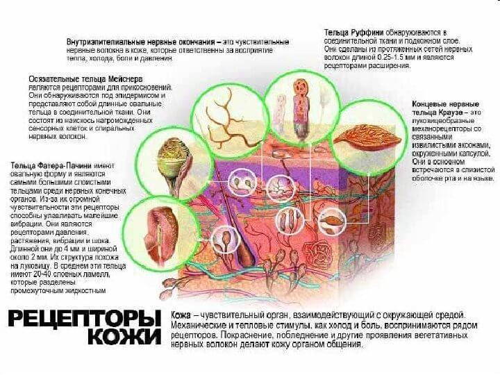 Болезни на тонком плане