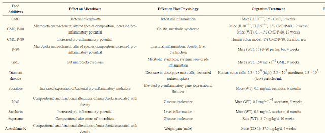 Кетодиета: Микрофлора и парадокс гликемического индекса