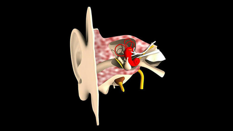 Гимнастика слуховых труб при отите thumbnail