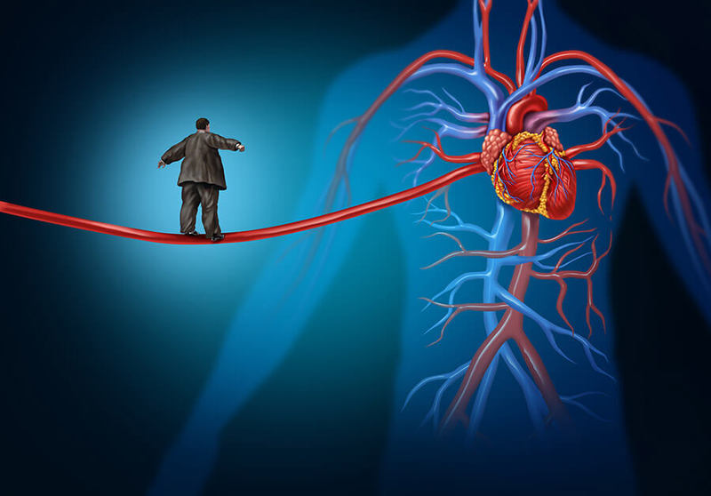 Влияние катехоламинов на артериальное давление