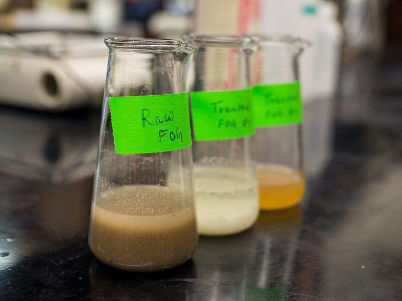 Биологи научились делать топливо из канализационных отходов