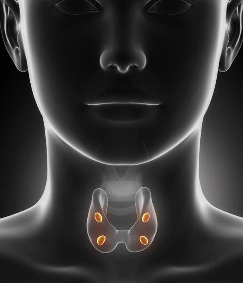 10 причин проверить щитовидную железу