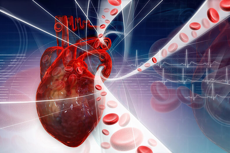 Как предотвратить болезни сердечно-сосудистой системы: 4 шага
