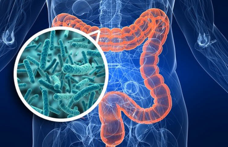 Синдром избыточного бактериального роста в кишечнике симптомы лечение thumbnail