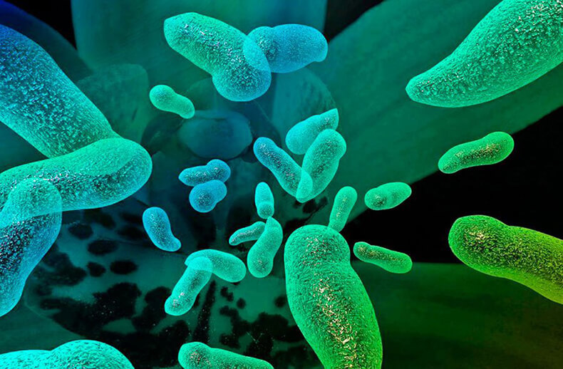 Синдром избыточного бактериального роста: как с ним бороться