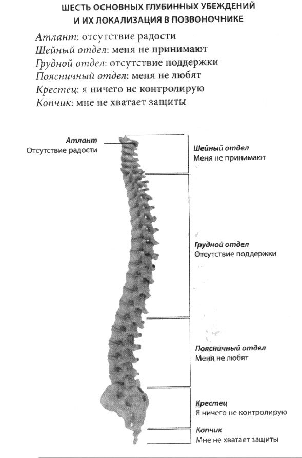 Штифты в позвоночнике фото