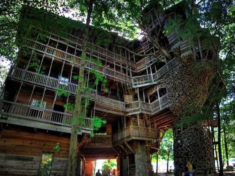 Самый большой дом на дереве