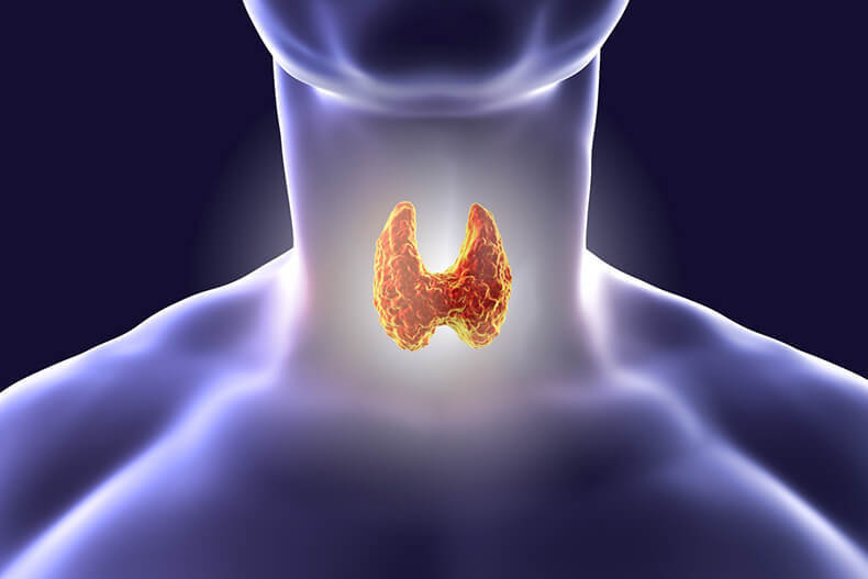 Щитовидная железа: 8 вещей в доме, которые влияют на её здоровье