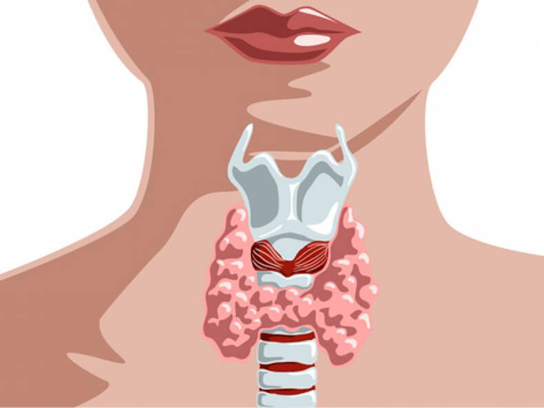 Как нарушения работы щитовидной железы влияют на репродуктивную систему женщины