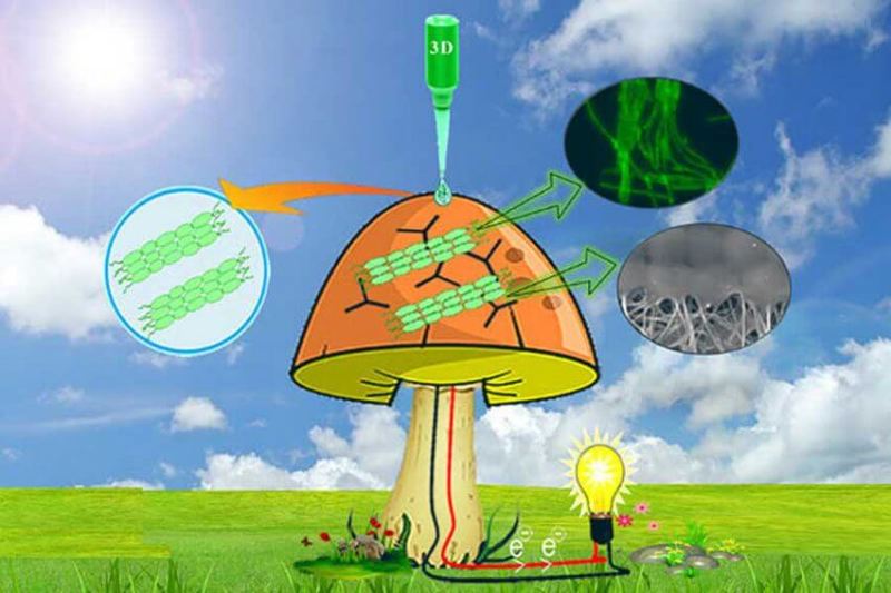 Солнечные био-панели напечатали 3D-принтером на грибах