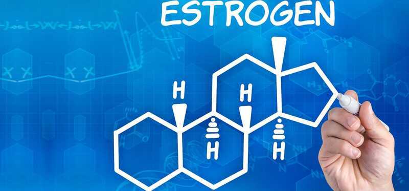 Кортизол, эстроген, инсулин: Как питанием сбалансировать главные гормоны