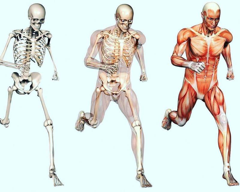 6 упражнений для эластичности мышц
