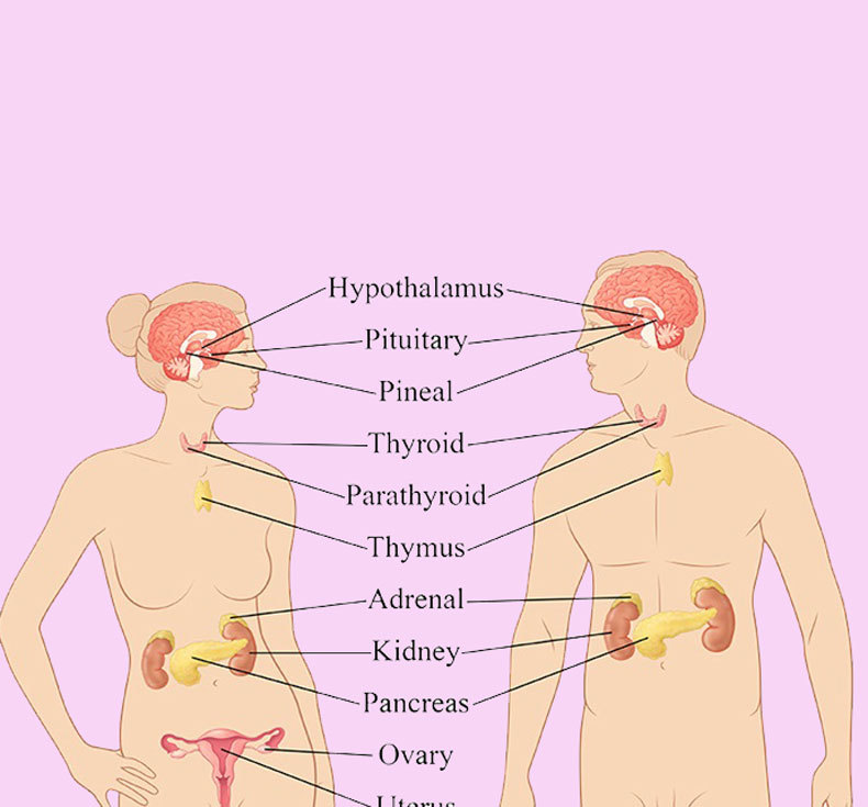 8 сигналов организма, свидетельствующих о гормональном сбое! 