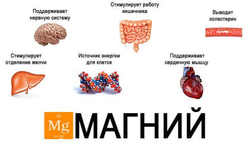 Невролог картинка для детей