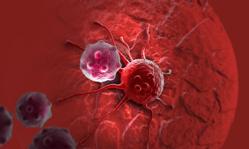Ангиогенез: Движущая сила любого рака
