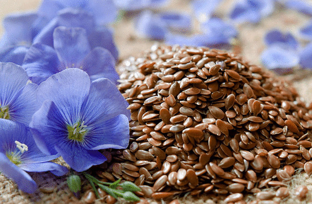 11 причин полюбить семена льна