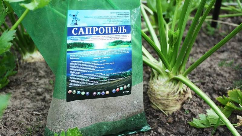 Сапропель: что это и как используется