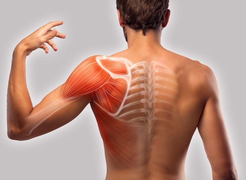 Метод Эгоскью: 6 упражнений для шеи и середины спины