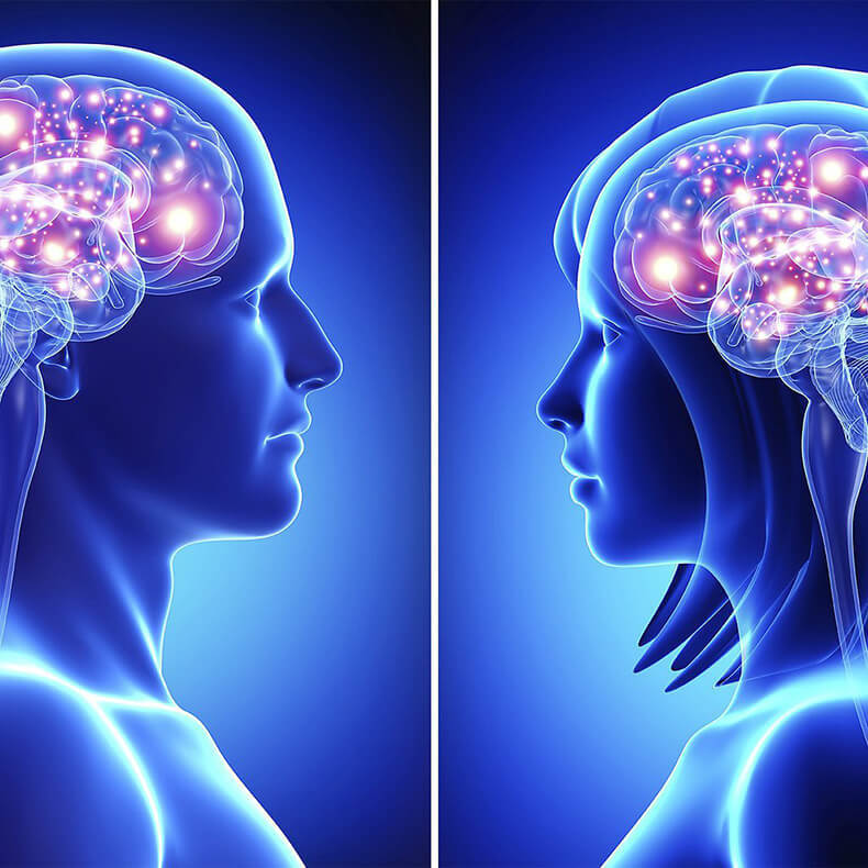 Женский мозг и мужской мозг: Мы принадлежим к двум разным 