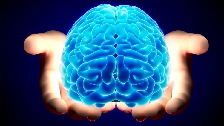 Дэниэл Дж. Амен: 8 типов активации мозга