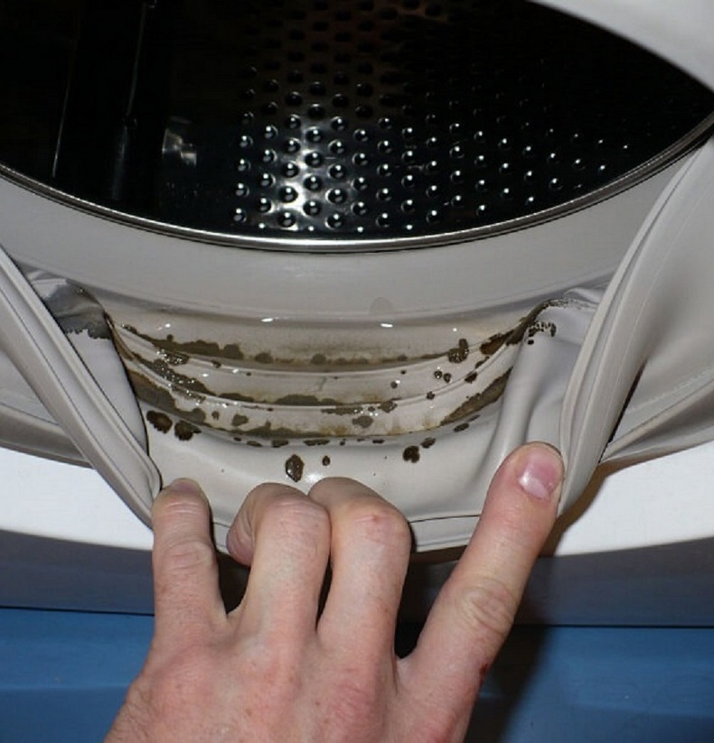 Как удалить плесень из стиральной машины
