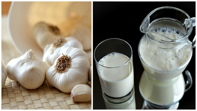 Молоко с чесноком: Рецепты, которые помогут сохранить молодость и здоровье