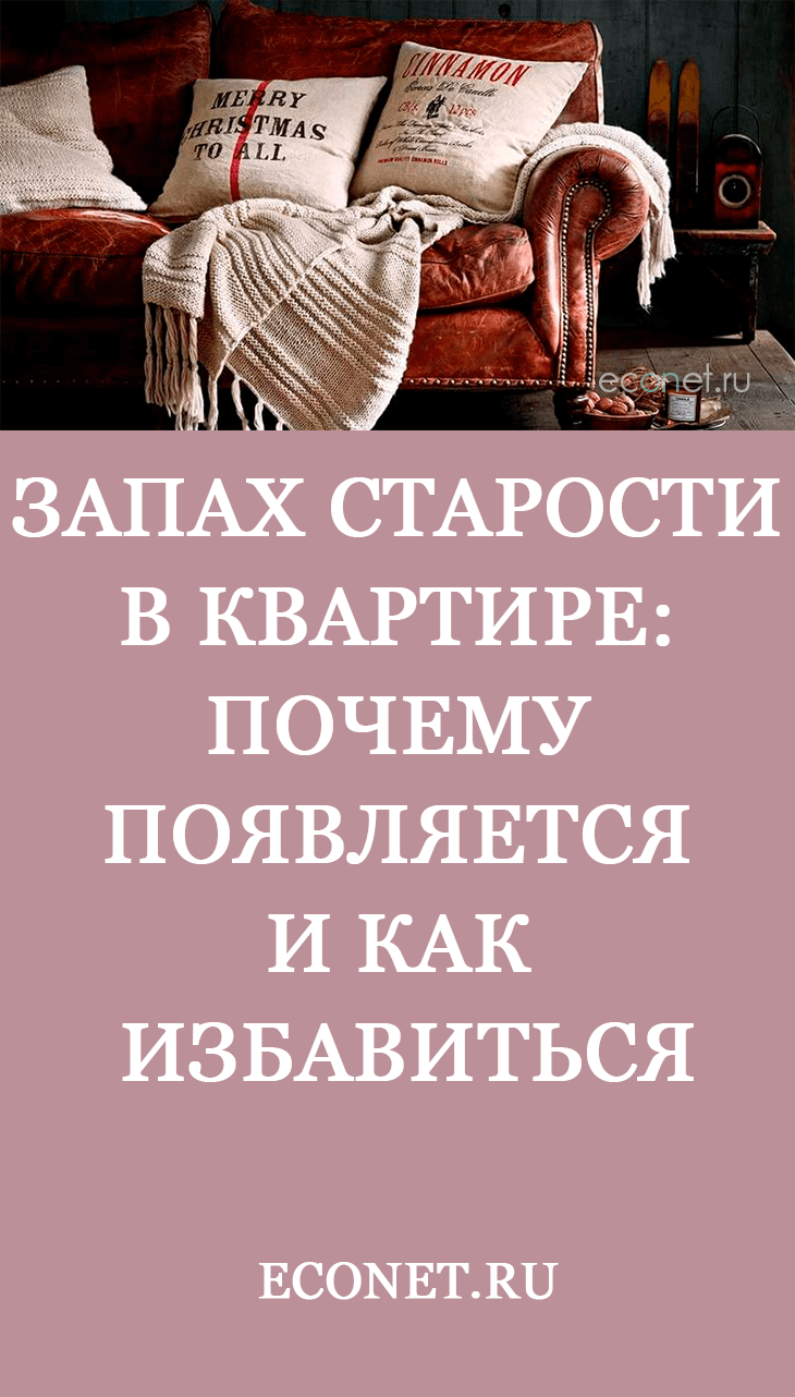 Запах старости в квартире: почему появляется и как избавиться | Lifestyle |  Селдон Новости