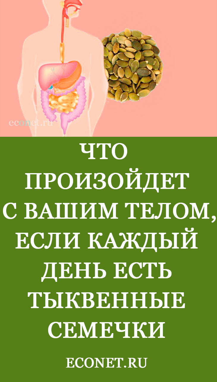 Что будет если есть мел каждый день школьный