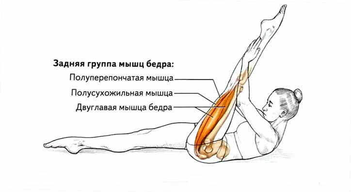 Что делать если болят ляжки. Растяжка мышц задней поверхности бедра. Растянуть мышцы задней поверхности бедра. Вытяжение мышц задней поверхности бедер.