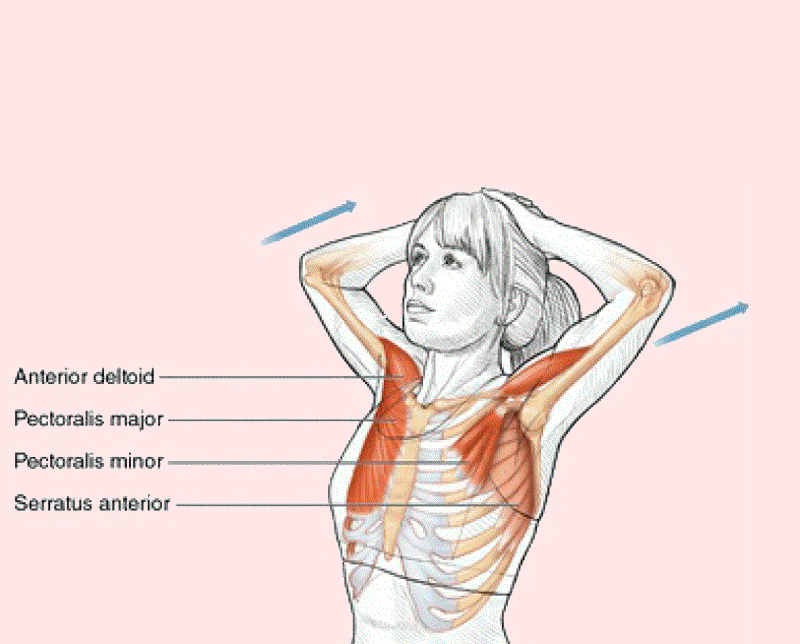 6 упражнений, которые подтянут грудь не хуже пуш-ап