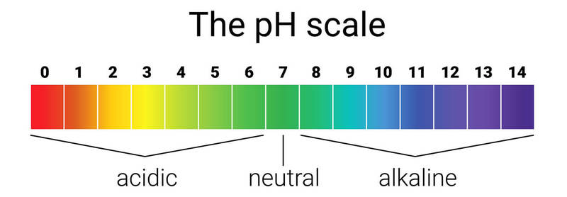 Кислотно-щелочной баланс pH: 4 шага для достижения его оптимального уровня