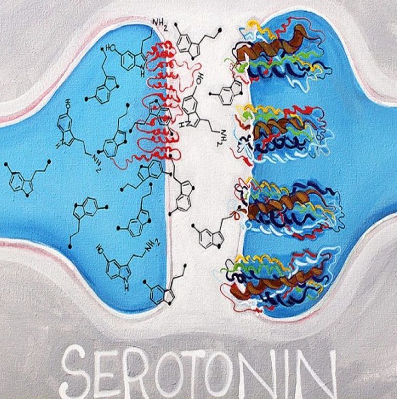 серотонин, гормон радости, здоровье, нейромедиатор, кишечник, омега-3, кортизол, медитация, спорт, углеводы