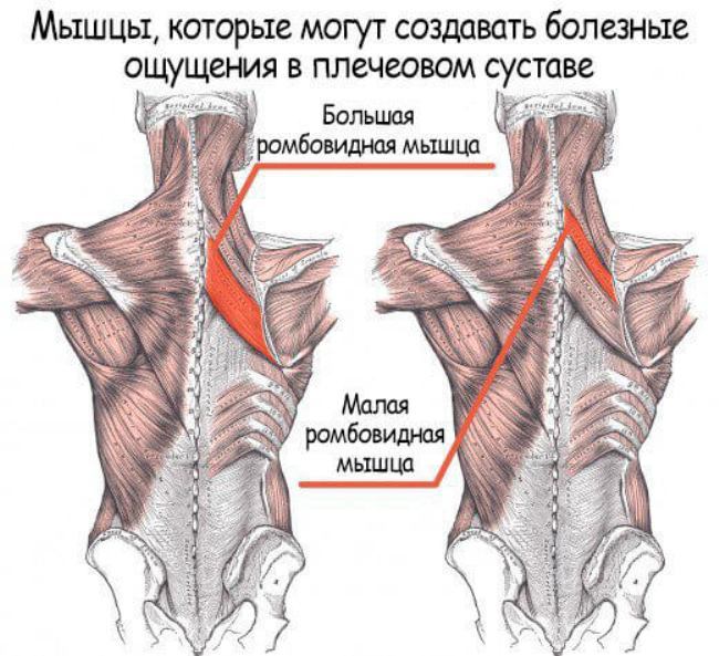 Полный релакс: 5 растягивающих упражнений для снятия боли в плечах