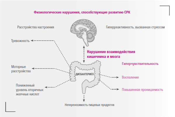 Схема лечения синдрома раздраженного кишечника