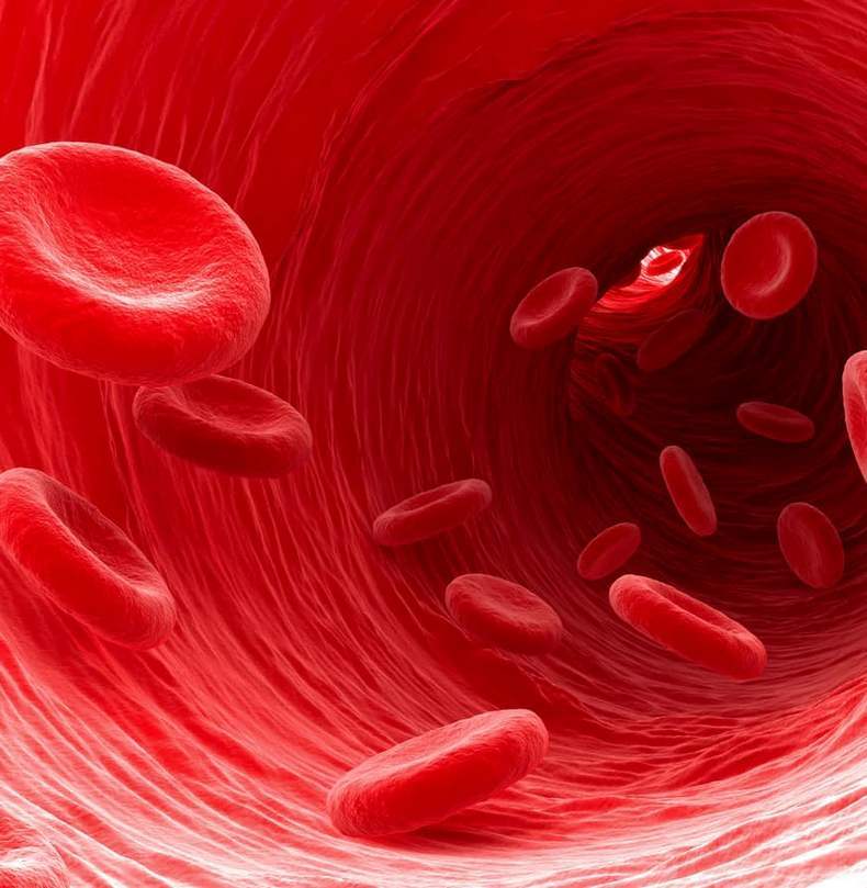 11 показателей крови, за которыми необходимо следить после 30 