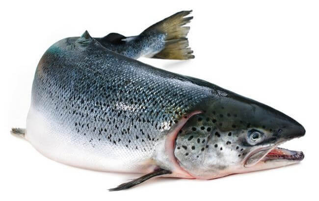 Самые полезные сорта рыб для здоровья: Топ-9