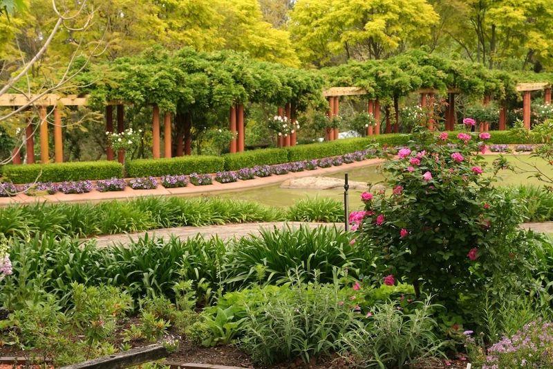 10 визуальных эффектов, позволяющих сделать сад интересным