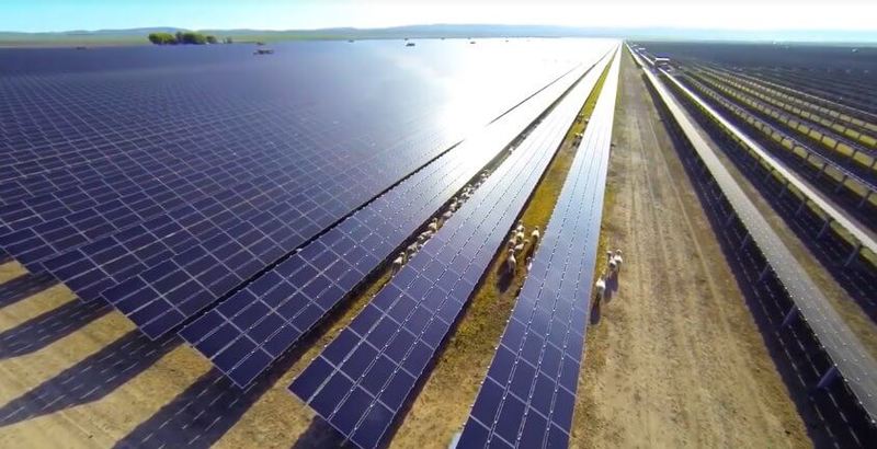 Время односторонних солнечных панелей подходит к концу - так думают в Jinko Solar