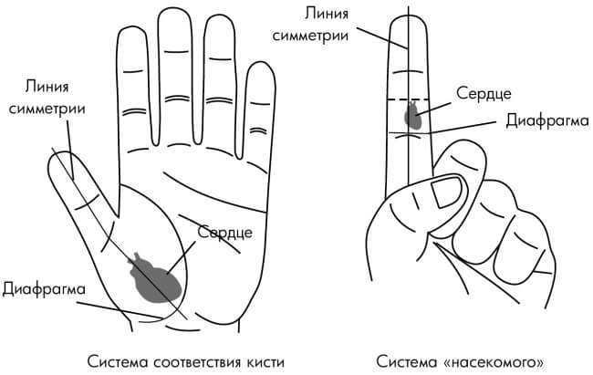 Точка при зубной боли картинки на руке